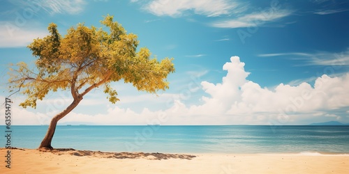 Beautiful sandy beach with blur sky and tree summer © Zaleman