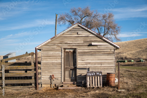 Old chicken coop