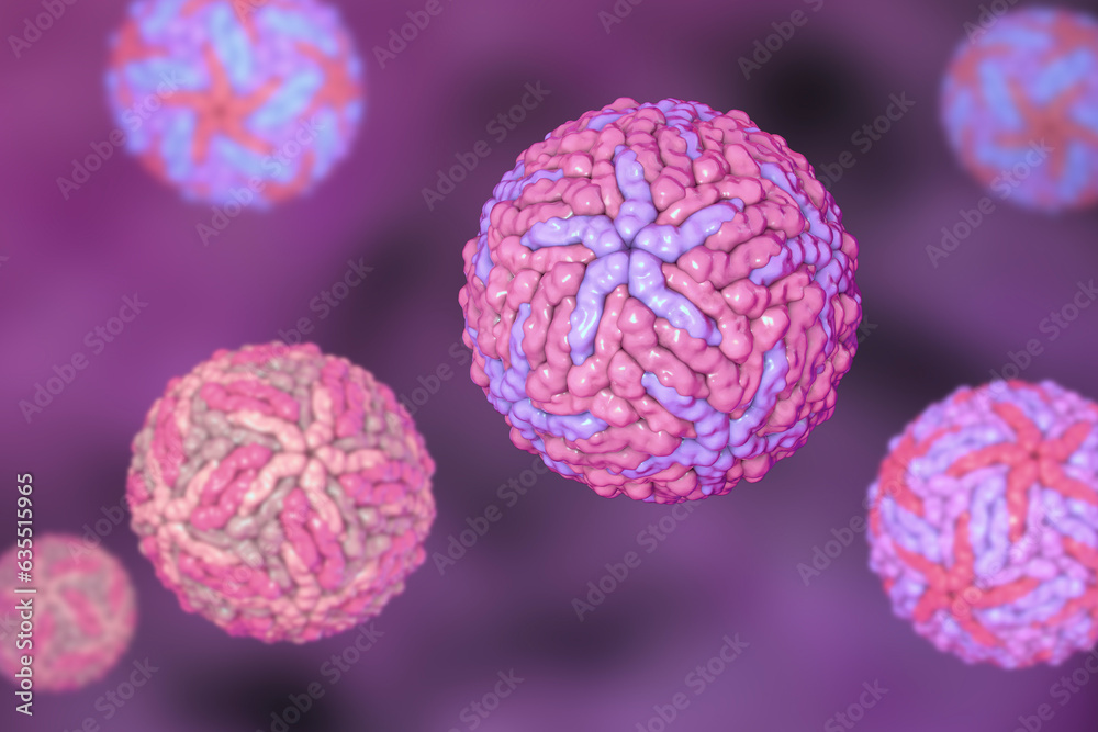 Dengue viruses, 3D illustration Dengue viruses, 3D illustration