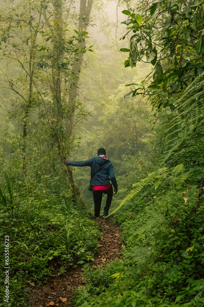 A hiker in the Montane forest ecological zone of Mount Rungwe, Mount Rungwe Nature Forest Reserves in Mbeya Region, Tanzania