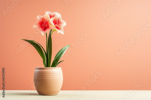 Wallpaper Mural Hippeastrum plant in a clay pot, minimalism, pastel background, reality, stock photography Torontodigital.ca