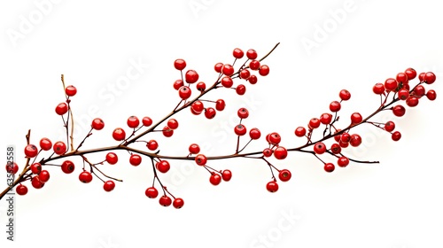 Christmas branch with red berries isolated on a white created with Generative AI technology