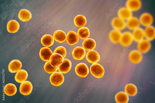 Staphylococcus bacteria, 3D illustration. photo