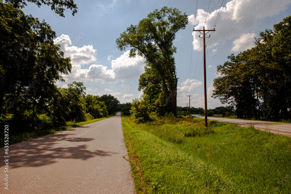 Obraz premium narrow country road with tree 