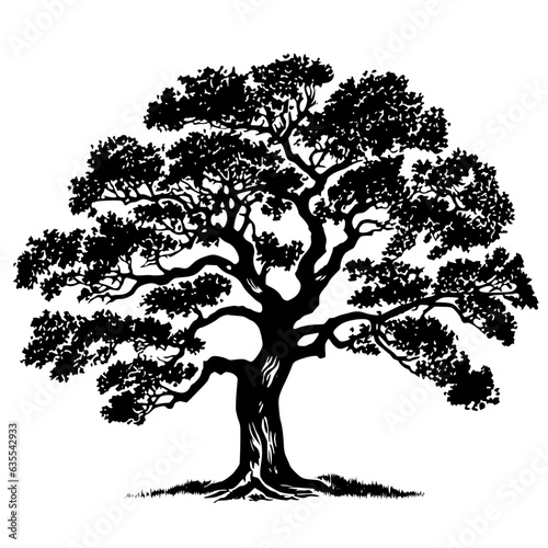 Oak Tree Vector