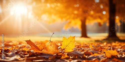 Beautiful autumn landscape with yellow leaves and sun. colorful leaves in the garden autumn leaves on natural background