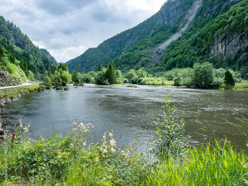 route 13 and green trees near fjord in norway photo