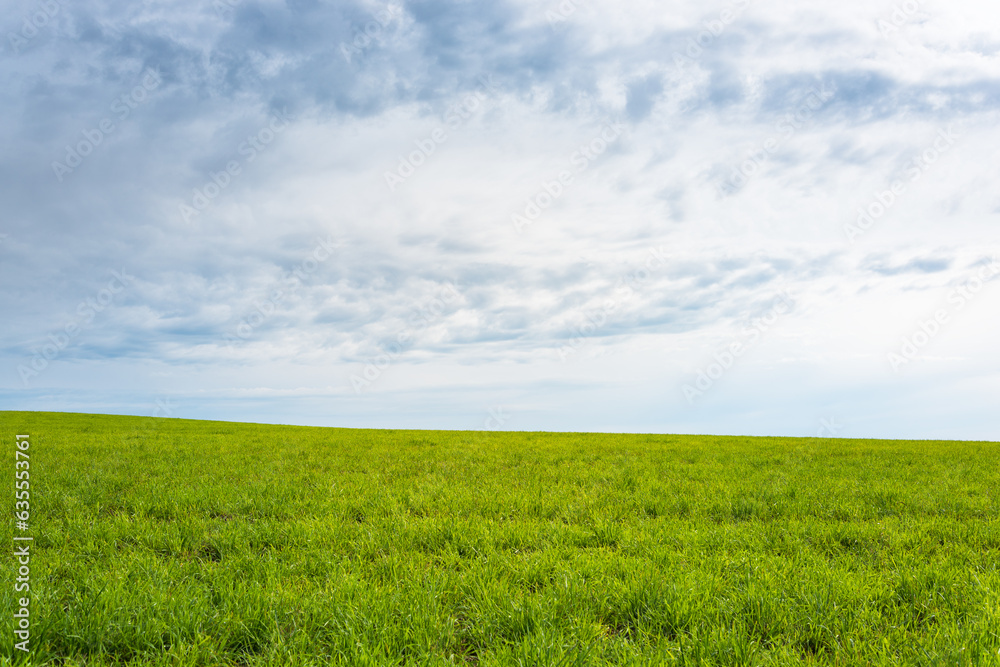 Sky and grass backround