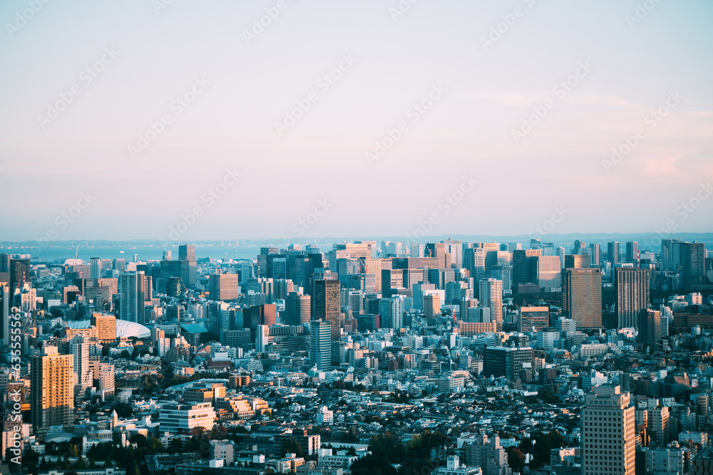 Asia business concept for real estate and corporate construction - panoramic urban city skyline aerial view under blue sky in hamamatsucho, tokyo, Japan