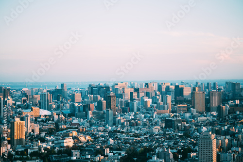 Fototapeta Naklejka Na Ścianę i Meble -  Asia business concept for real estate and corporate construction - panoramic urban city skyline aerial view under blue sky in hamamatsucho, tokyo, Japan