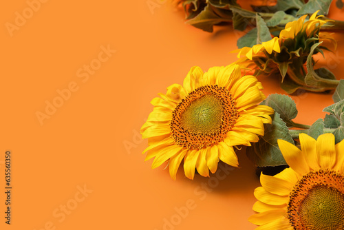 Beautiful sunflowers on ora...