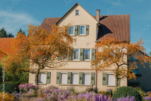 House with nice garden in fall. Flowers in the City Park of Bietigheim-Bissingen  Baden-Wuerttemberg  Germany  Europe. Autumn Park and house  nobody  bush and grenery
