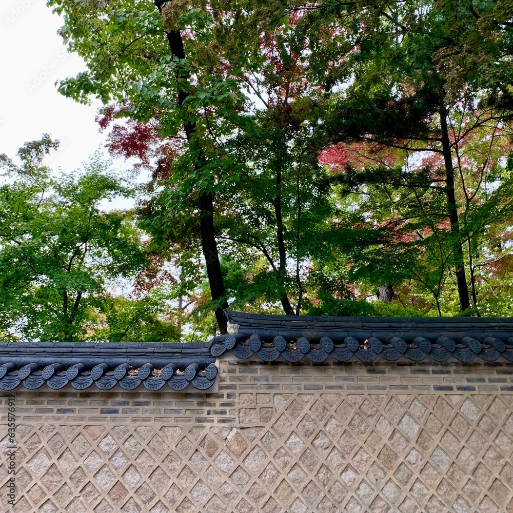 Korean traditional wall in a garden
