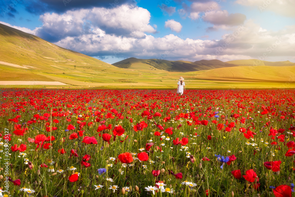 Girl in white dress walking in summer flower field