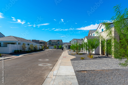 Newly built single-family homes in Arizona await buyers. photo