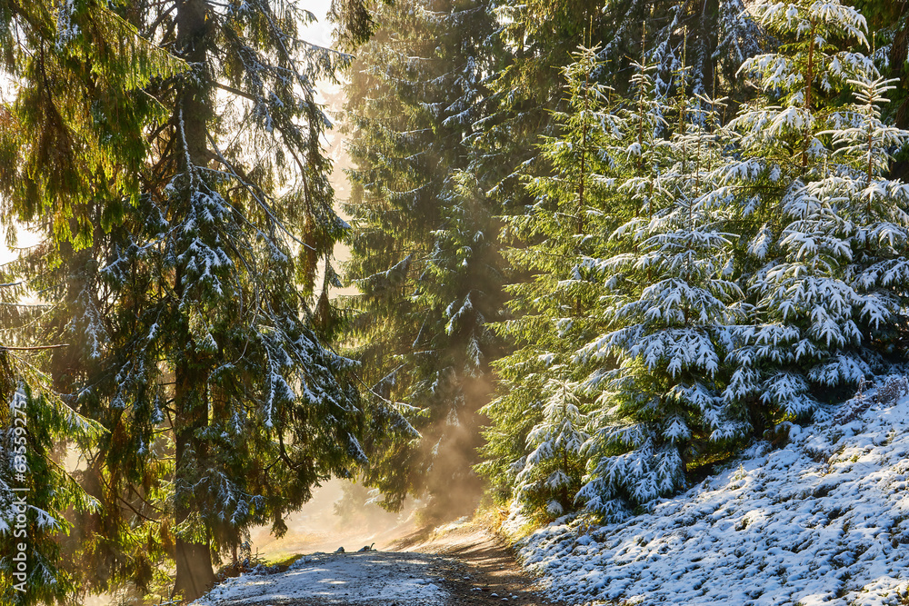 Autumn Serenity: Snow-Kissed Mountain Trail Autumn Serenity: Snow-Kissed Mountain Trail