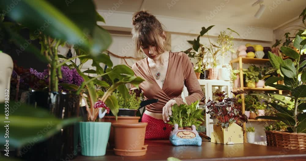 Caucasian female assistant working with flowers in pots in flower shop of plant shop. Female botanist takes care of a plant in a pot in a flower shop. The seller waters the plant.