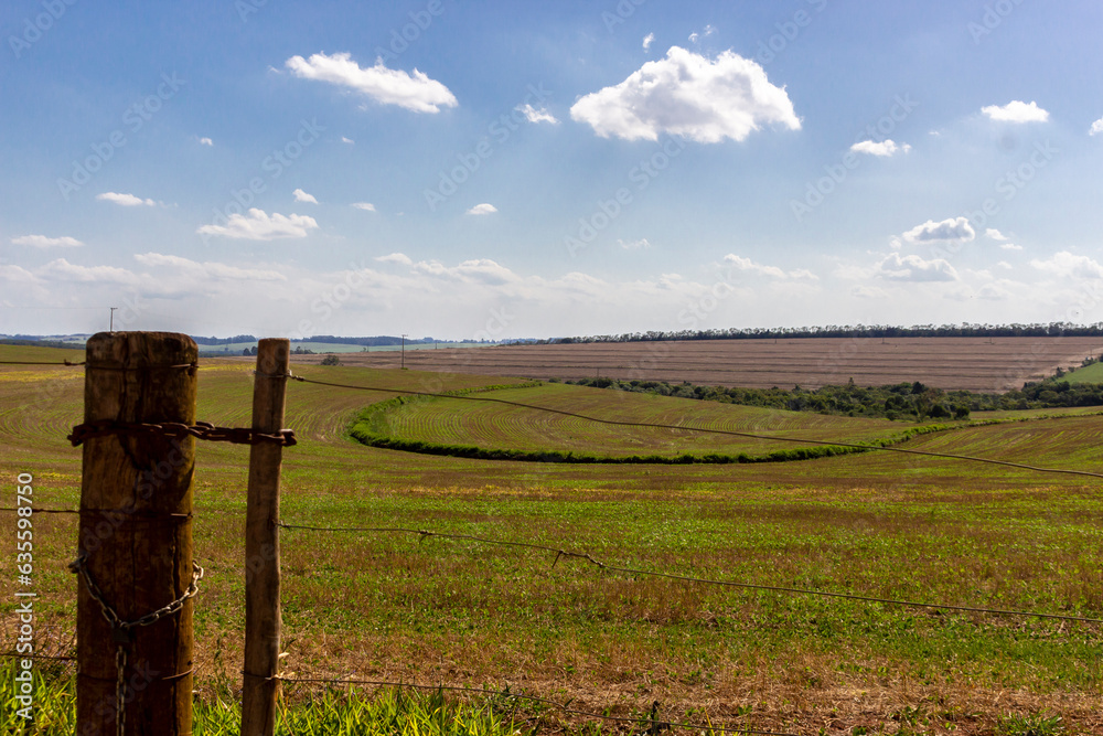 Agricultural fields cultivated on a farm in Brazil