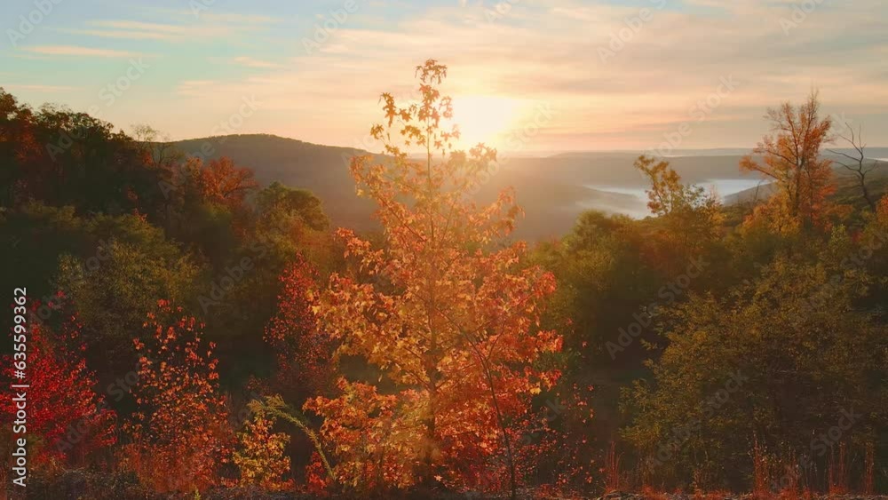Beautiful Arkansas ozark mountain scenic overlook in fall with autumn colored forest and maple trees with sunlight
