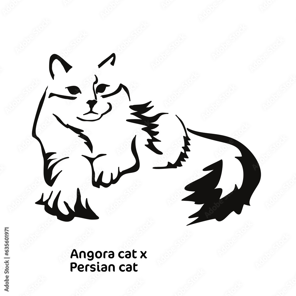 Vector drawing of a stylized cat with long hair. Mix of Angora cat with Persian cat. Animal gestalt design.