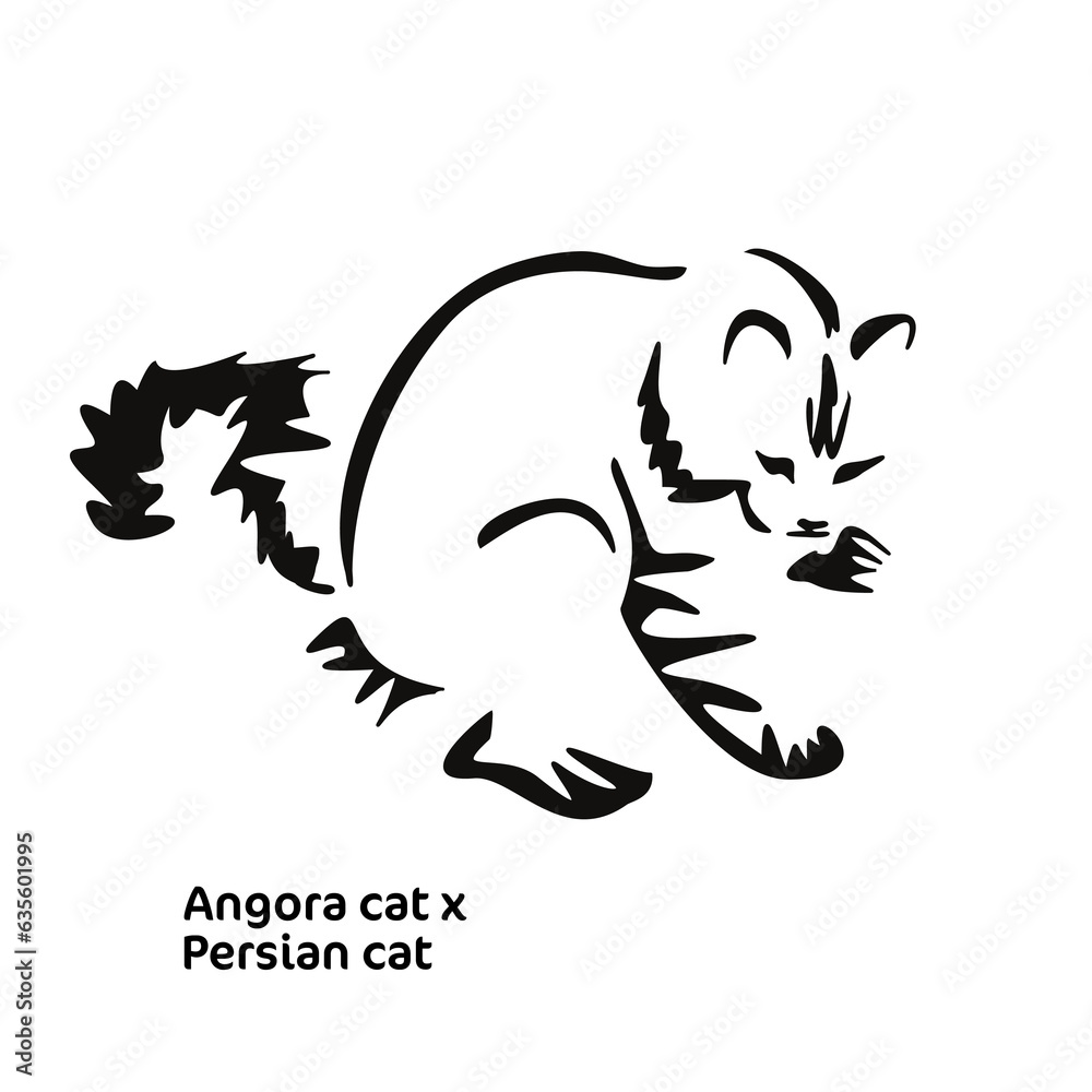 Obraz premium Vector drawing of a stylized cat with long hair. Mix of Angora cat with Persian cat. Animal gestalt design.
