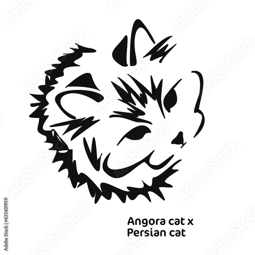 Vector drawing of a stylized cat with long hair. Mix of Angora cat with Persian cat. Animal gestalt design.