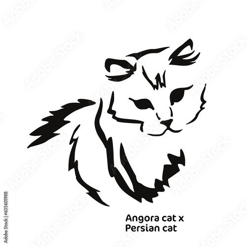 Vector drawing of a stylized cat with long hair. Mix of Angora cat with Persian cat. Animal gestalt design.