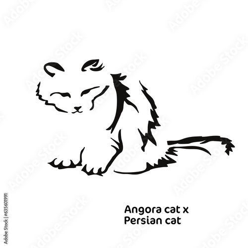 Fototapeta Naklejka Na Ścianę i Meble -  Vector drawing of a stylized cat with long hair. Mix of Angora cat with Persian cat. Animal gestalt design.