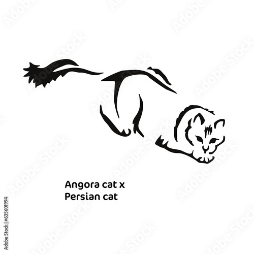 Vector drawing of a stylized cat with long hair. Mix of Angora cat with Persian cat. Animal gestalt design.