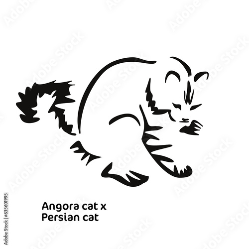 Vector drawing of a stylized cat with long hair. Mix of Angora cat with Persian cat. Animal gestalt design.