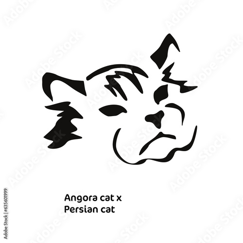 Vector drawing of a stylized cat with long hair. Mix of Angora cat with Persian cat. Animal gestalt design.