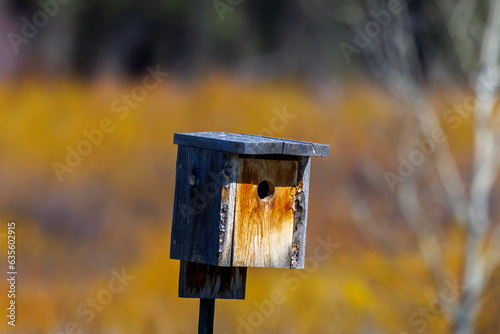 Bird house for a Mountain bluebird (Sialia currucoides) mounted on a fence post. Isolated with blurred background during spring.
 photo