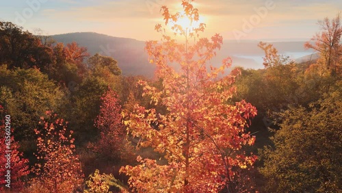 Amazing Arkansas ozark mountain scenic overlook in fall with autumn colored forest via aerial viewpoint at sunrise