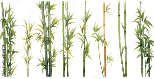 Slika na platnu Array of bamboo in different sizes and shapes