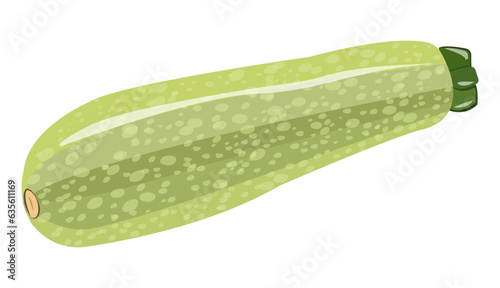 zucchini, green zucchini, vegetable marrow on transparent background, vegetable, food, vector, illustration, png