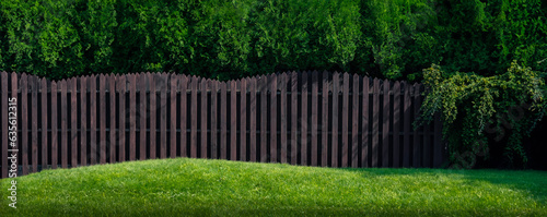 grass and fence