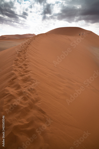 Ascensi  n por la inmensa duna Big Mamma en el desierto del Namib  Namibia.