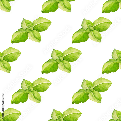 Green basil. Isolated illustration. Seamless pattern for your design