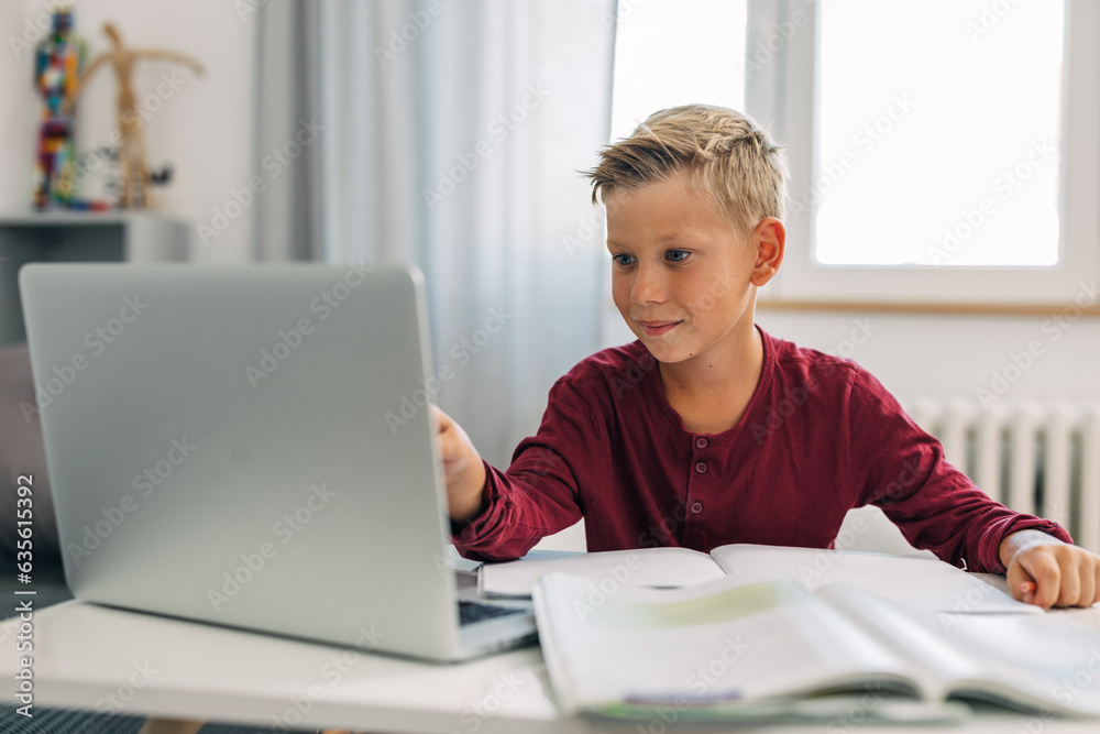 Cute Caucasian boy enjoys the online class. Cute Caucasian boy enjoys the online class.