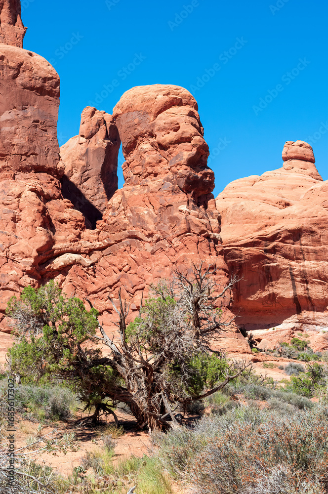 Fototapeta premium a landscape photograph taken in Arches National Park
