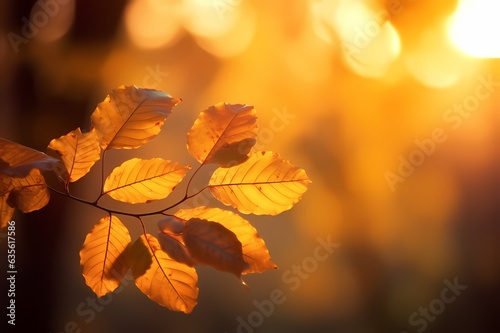 autumn leaves in idyllic beautiful blurred autumn landscape panorama with autumn leaves in sun, advertising space on leaf background, cheerful autumn leaf season concept