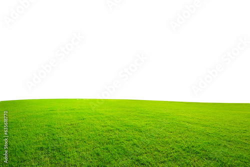 green grass field PNG