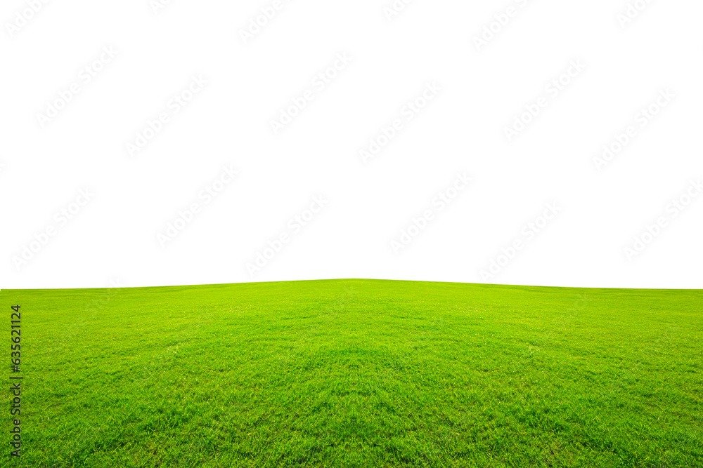 top green grass field PNG