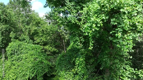 Monteagle is a town in Franklin, Grundy, and Marion counties in the U.S. state of Tennessee, in the Cumberland Plateau region of the southeastern part of the state. The population was 1,238
