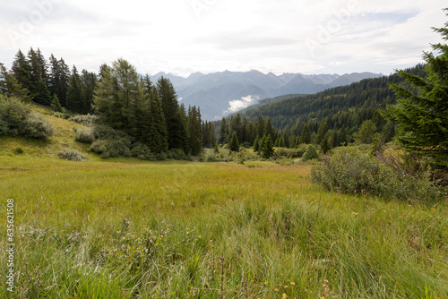 Alpage au-dessus de Serfaus