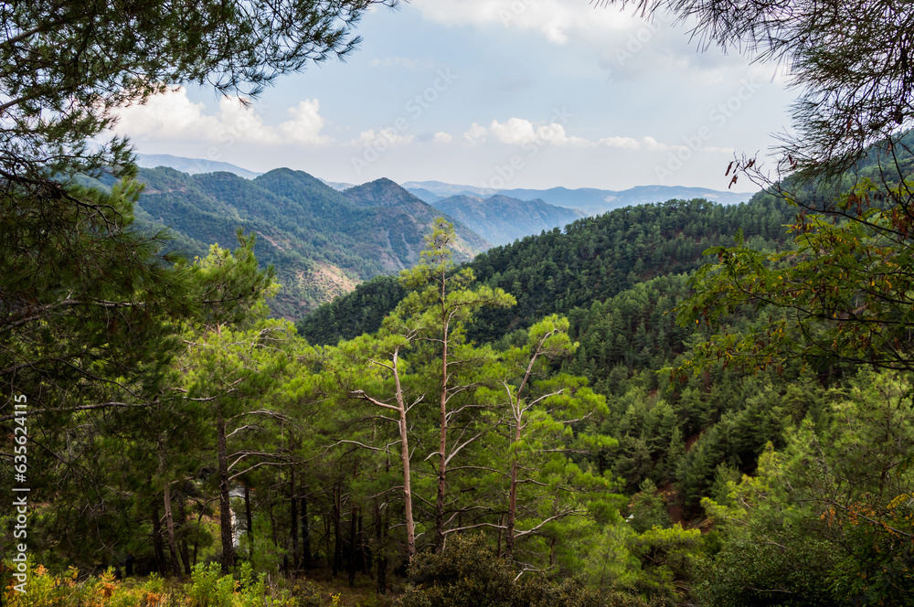 The Troodos mountain range on the island of Cyprus overgrown with pine forest. Beautiful natural landscape. The Troodos mountain range on the island of Cyprus overgrown with pine forest. Beautiful natural landscape.