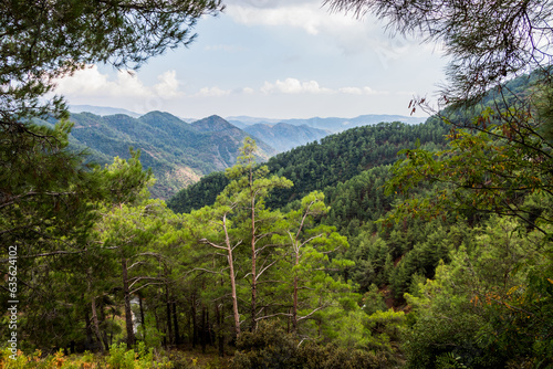 The Troodos mountain range on the island of Cyprus overgrown with pine forest. Beautiful natural landscape.