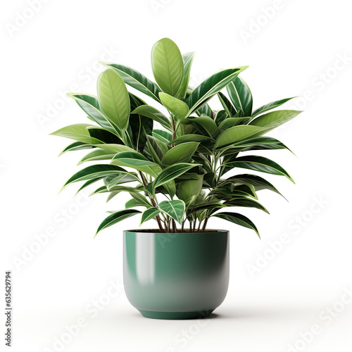 Green plant in a green flower pot isolated on white background. Concept for ecology, home, sustainability.
