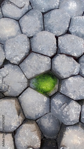 gray stones with green moss on the giant's causeway, ireland