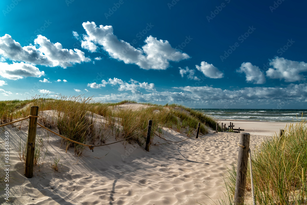 Fototapeta premium dunes with marram gras